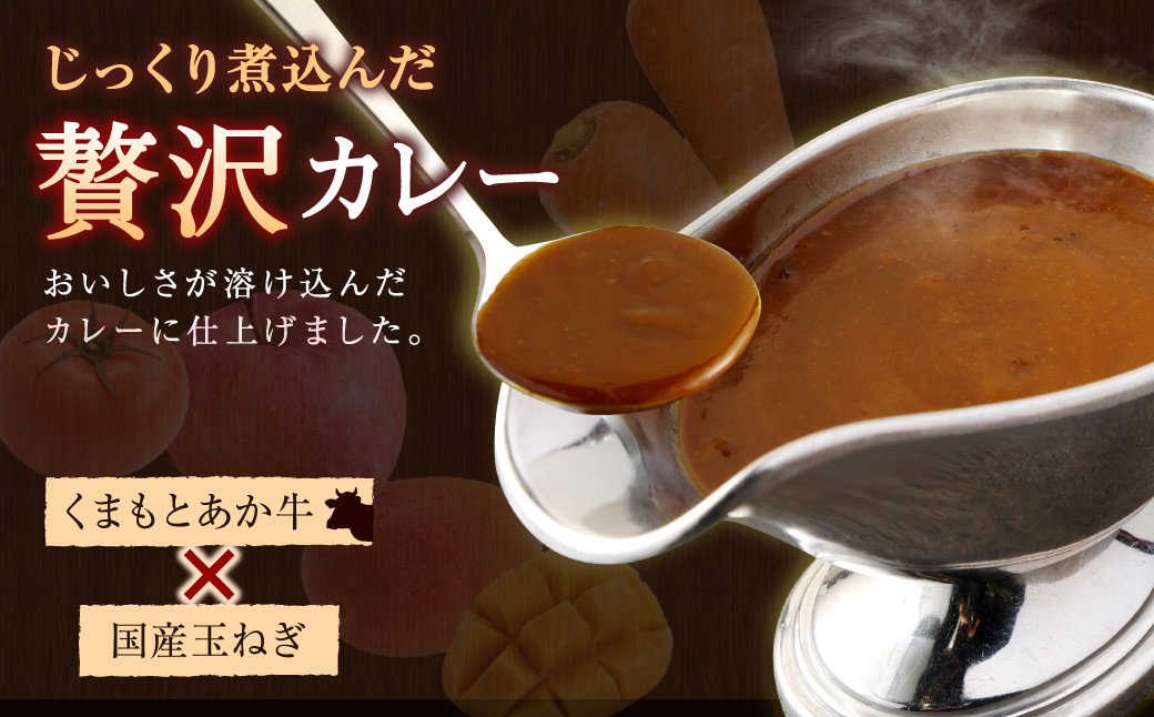 熊本県産あか牛使用 くまもとあか牛 ビーフカレー 30人前 カレー あか牛