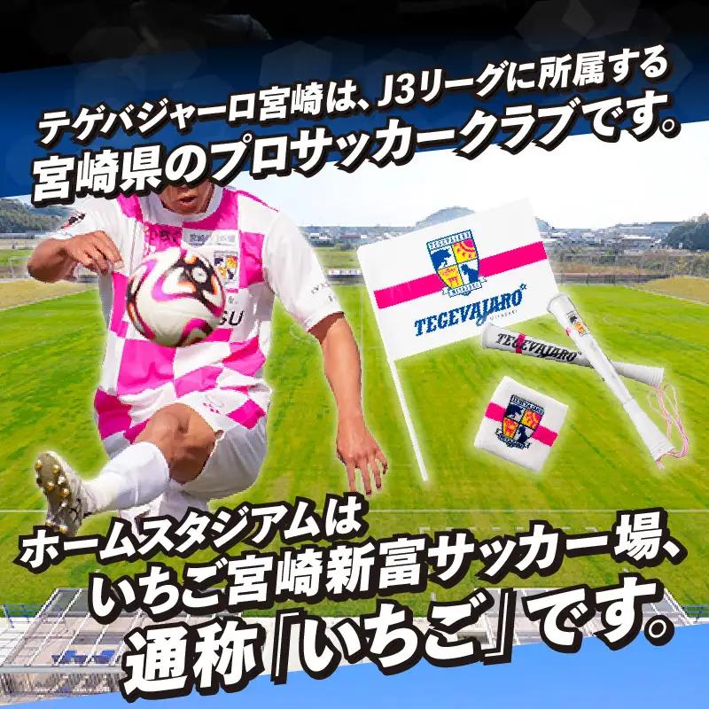 テゲバジャーロ宮崎　応援グッズ3点セット テゲバ 応援 グッズ