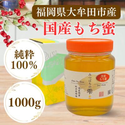 ふるさと納税 大牟田市 みつばちの雫　国産もち蜂蜜　1000g