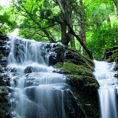 ふるさと納税 出雲市 【定期便3回】出雲ノ高濃度水素水　末広セット　を毎月お届け!【5_1-003】 |  | 02
