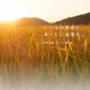 【発送月固定定期便】【先行予約】岐阜県産ハツシモ(精米)10kg【1月・2月・3月発送】全3回【配送不可地域：離島】【4073157】