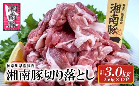 湘南豚　切り落し　3.0kg【神奈川県産豚】 豚肉 切り落とし 国産 肉 ポーク 小分け 250g 冷凍 生姜焼き 野菜炒め 豚汁 豚丼 人気 おすすめ 藤沢市