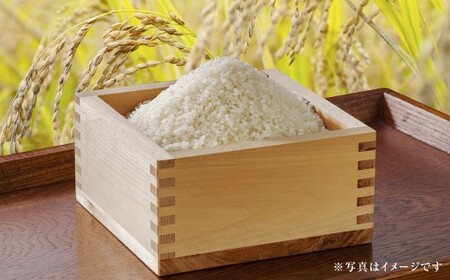 〈令和7年産〉 【はたなかさんち】 泉州産 ヒノヒカリ 5kg×1袋  【2025年11月上旬ー12月下旬発送予定】 お米 米 白米 ごはん 国産