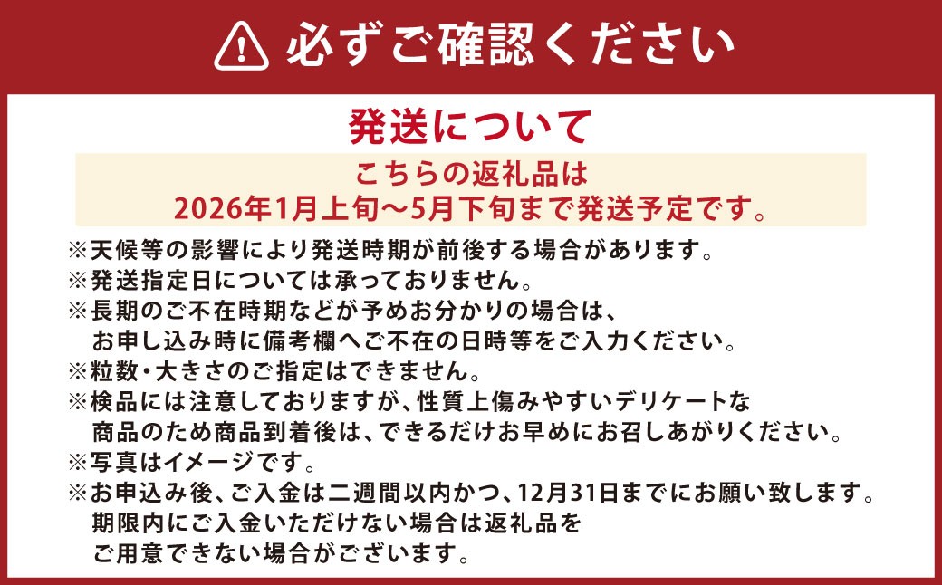 【5か月連続定期便】『まるでフルーツのような特選ミニトマト』 約3kg×5回 合計約15kg
