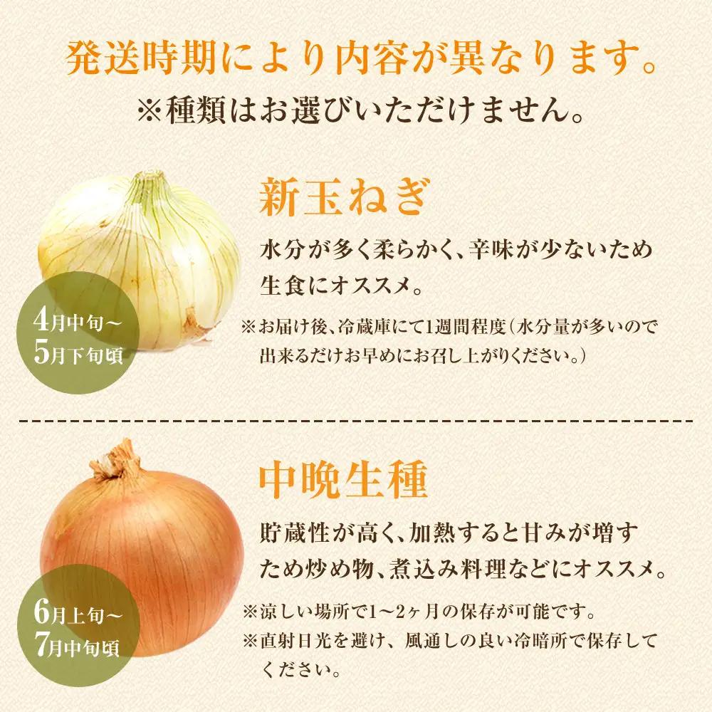 ［2026年発送分・先行予約］農家さん直送 低農薬玉ねぎ Lサイズ 10kg程度［4月中旬～7月中旬頃発送予定］［KF16］