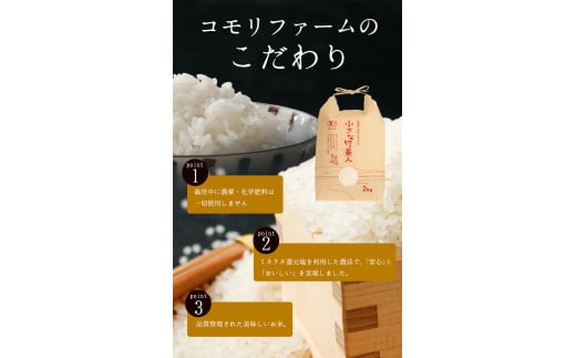 令和5年産 小さな竹美人 精米 4kg(2kg×2袋) 白米 精米 お米 米 コメ コモリファーム《30日以内に出荷予定(土日祝除く)》---sc_kmjasrsei_30d_23_13500_4kg