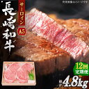 【ふるさと納税】【全12回定期便】長崎和牛 サーロイン ステーキ 総計4.8kg (400g/回)【株式会社 OGAWA】[QBI011] 牛肉 国産 和牛 サーロインステーキ 焼き肉 BBQ バーベキュー クリスマス おせち 誕生日 ギフト 贈り物 30万1千円 301000円