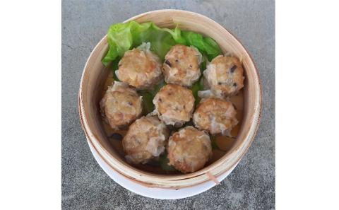 あおき特製　冷凍春巻・野菜シューマイセット 【夏ギフト特集】お肉の加工品