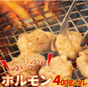 【ふるさと納税】Amu-01 大人気焼肉屋さんのご家庭で簡単！ホルモン焼きセット もつ 国産 焼肉 国産ホルモン 牛 肉 国産牛 ほるもん 牛ホルモン もつ鍋