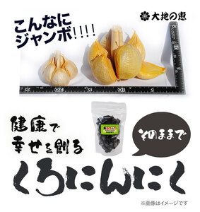 くろにんにく(そのままで) 500g《30日以内に出荷予定(土日祝除く)》大阪府 羽曳野市 ニンニク 黒ニンニク じゃんぼ大蒜 大蒜 健康 スタミナ