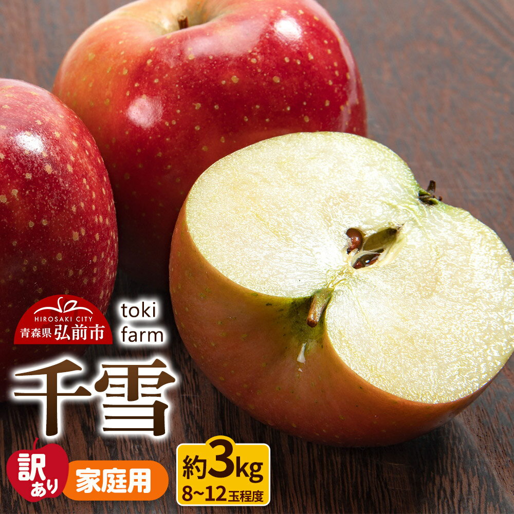 【ふるさと納税】【25年10月〜発送】りんご【訳あり】千雪 約3kg（8〜12玉程度）家庭用 toki farm 林檎 アップル 果実 果物 美味