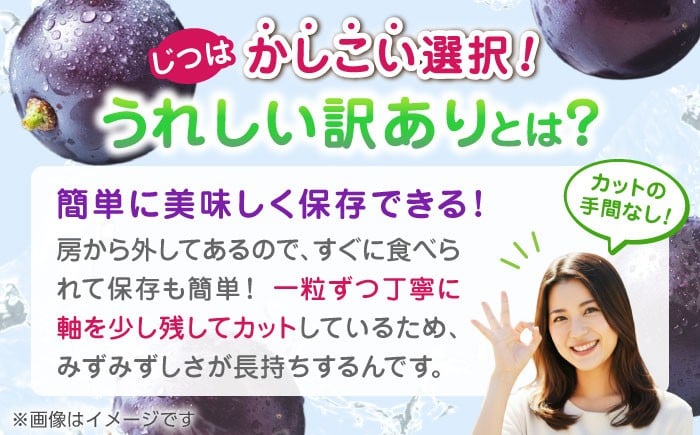 訳あり ピオーネ ぶどう 切り落とし 約1kg ブドウ 葡萄 ぶどう わけあり 国産 熊本県 山鹿市 果物 くだもの フルーツ