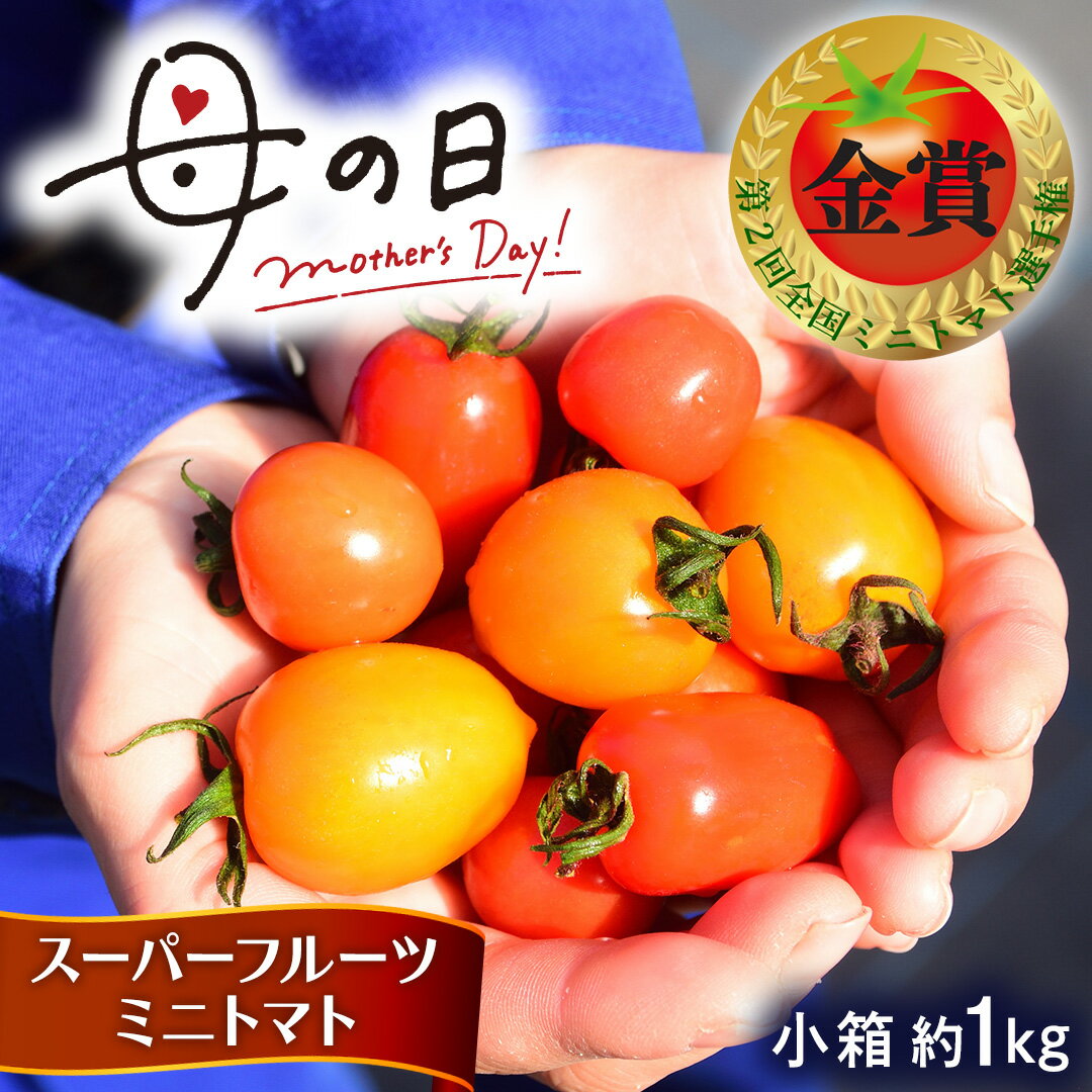 【ふるさと納税】【母の日専用】 スーパーフルーツミニトマト 小箱 約1kg ×1箱 《5月4日～10日お届け メッセージカード付》 ミニトマト フルーツトマト ブランドトマト 野菜 母の日 ギフト 贈り物 プレゼント 感謝 記念日