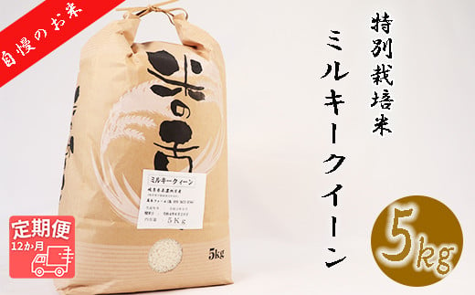 【12か月定期便】【特別栽培米】≪令和5年産≫垂井町産ミルキークイーン(5kg×12回）