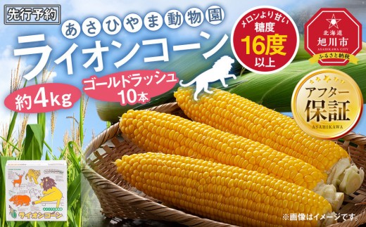 
                  【26年発送先行予約】あさひやま動物園ライオンコーン約4kg(ゴールドラッシュ10本)2026年8月下旬から発送開始予定 【 とうもろこし 人気 北海道 糖度 野菜 スイートコーン 産地直送 ゴールドラッシュ コーン 旬 お取り寄せ 旭川市 北海道 】_00307
                
