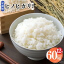 【ふるさと納税】【 定期便 12回 】奈良県産 ヒノヒカリ 精米 5kg 計60kg | 米 こめ コメ お米 おこめ ひのひかり 奈良県 平群町 ライス