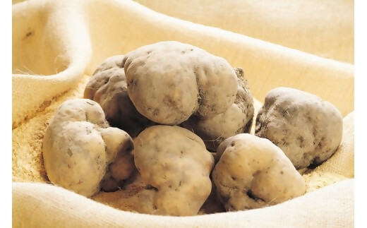 GF-23　伊勢いも入り手延べ半生とろろそば