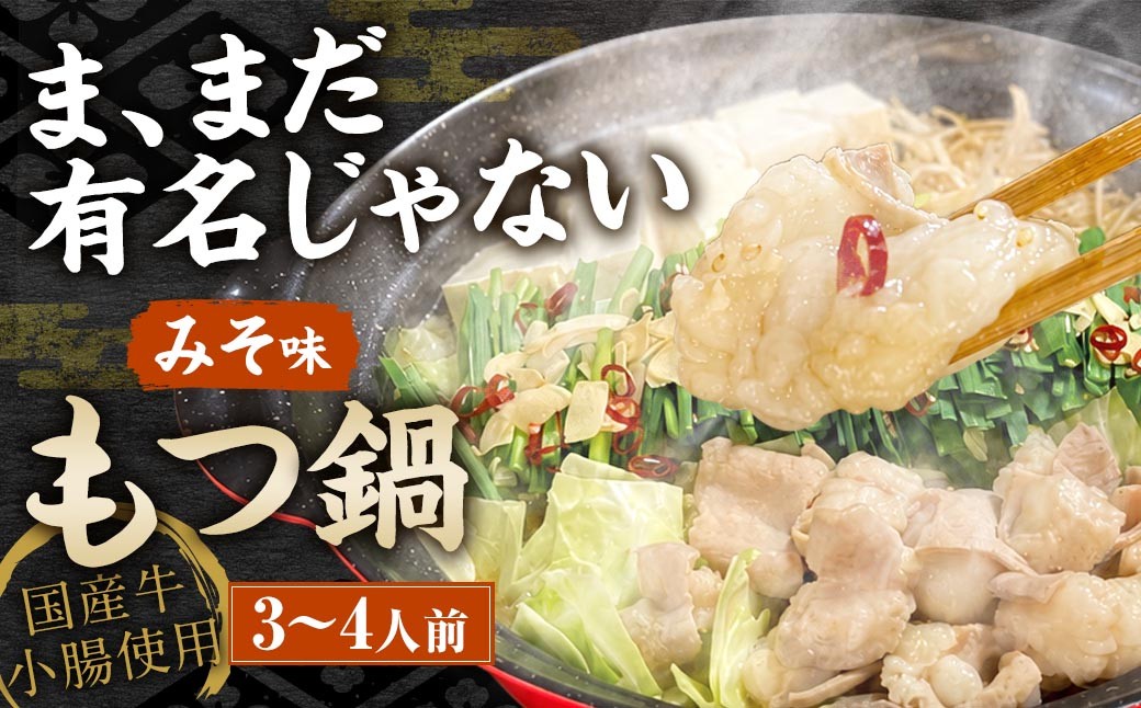 
                  ま、まだ有名じゃない もつ鍋 3 ～ 4人前 （ みそ味 ） モツ鍋 もつなべ モツ もつ 鍋 鍋料理 出汁 スープ 味噌 味噌味 鷹の爪 冷凍
                