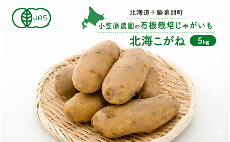 先行予約 有機じゃがいも 5kg 北海こがね じゃがいも