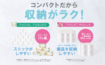 【スコッティ】ティシュー フラワーボックス 250組（5箱パック×2セット）＋フラワーパック 3倍長持ち（4ロール(ダブル)パック×6セット）ティッシュ トイレットペーパー 日用品