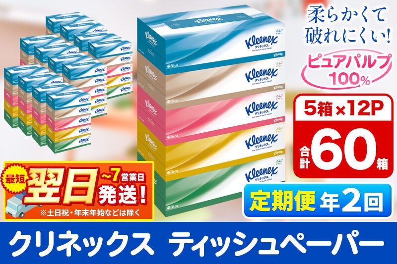 
                  《6ヶ月ごとに2回お届け》定期便 ティッシュ クリネックス ティシュー 5箱×12パック 最短翌日発送 [クリネックス ティッシュ ボックスティッシュ 日本製紙クレシア 定期便]
                
