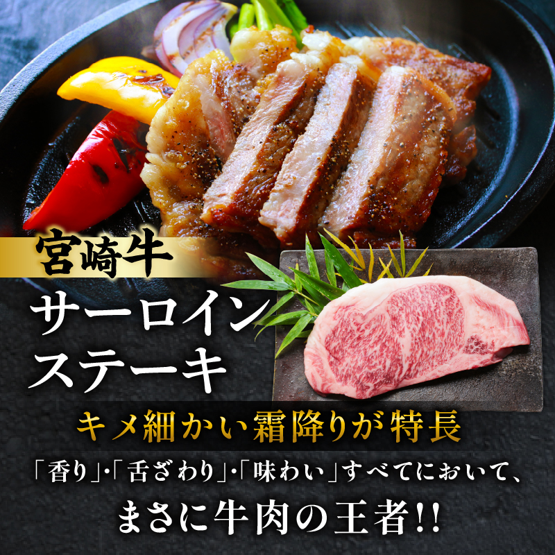 宮崎牛サーロインステーキ&肩(ウデ)すき焼き用セット合計500g_T009-003【肉 牛 牛肉 焼肉 国産 人気 ギフト 食品 おかず お肉 焼き肉 お土産 贈り物 送料無料 プレゼント】