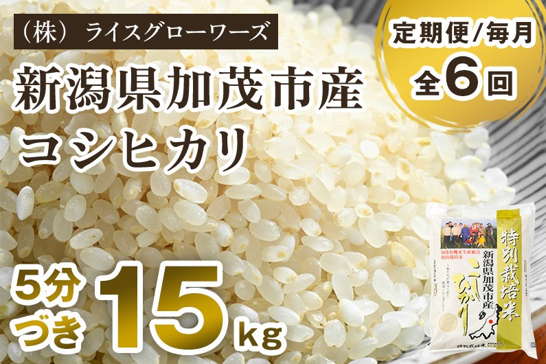 
                  【令和8年産新米先行予約】【定期便6ヶ月毎月お届け】5分づき 特別栽培米 コシヒカリ 精米15kg（5kg×3）《10月上旬～順次出荷》 従来品種コシヒカリ （株）ライスグローワーズ  新潟県 加茂市産 白米 米 お米 定期便
                