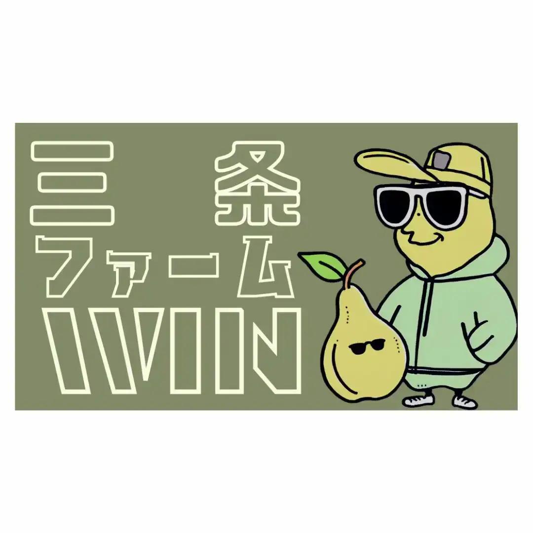 先行予約 和梨 豊水 約3kg 秀品 令和8年度 冷蔵 新潟フルーツ 新潟県産 梨 [三条ファームWIN]