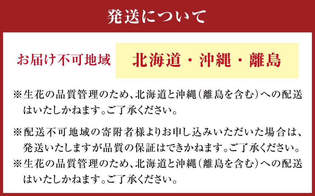 159-890-B 【カラフル系】フローリストセレクト (おまかせ) 季節のフラワーブーケ フラワー お花 花束