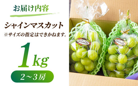 【先行予約】【数量限定】【訳あり】シャインマスカット 約1kg(2〜3房)【合同会社 社方園】[ZBZ028]