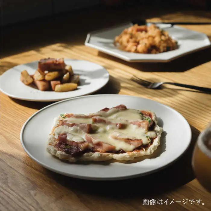 【波佐見焼】デルフト皿 プレート 21cm 白マット釉 2枚セット 食器 皿 【イロドリ】 [KE26] 波佐見焼