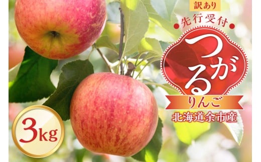 【先行予約2025年9月下旬より発送】＜北海道余市産＞訳アリ りんご（つがる）3kg