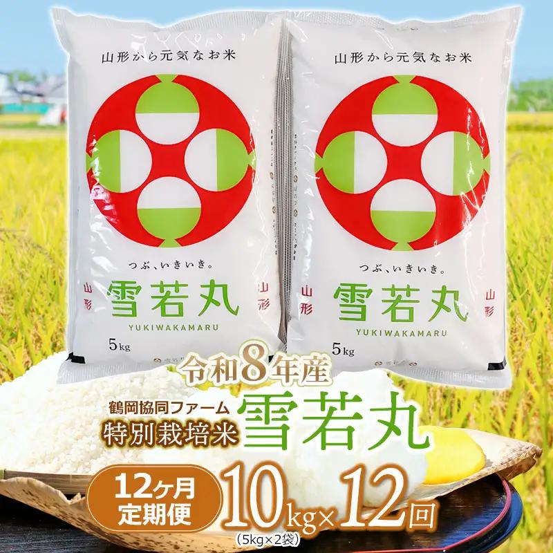 【令和8年産 新米】 特別栽培米雪若丸 精米 10kg (5kg×2袋) ×12ヶ月【定期便】 山形県鶴岡産　鶴岡協同ファーム