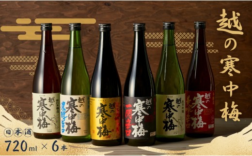 【日本酒】 清酒 越の寒中梅 6種類飲み比べセット 淡麗辛口 720ml×6本 新潟銘醸 | 飲み比べ 清酒 お酒 酒 さけ 地酒 新潟酒 新潟県 小千谷市 【0002-0025】