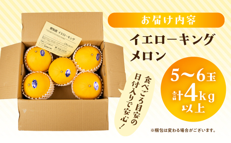 【先行予約】イエローキングメロン 5 ～ 6玉 入り（ 計 4kg 以上 ）メロン イエロー キング メロン フルーツ 果物 愛知県 田原市 渥美半島 お取り寄せ スイーツ ギフト 贈り物 プレゼント