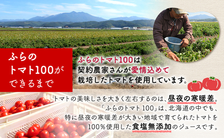 【 6ヵ月 定期便 】ふらの トマト100 160g×30本入　野菜  ジュース  (ジュース 野菜ジュース 飲み物 缶 北海道 送料無料 道産 富良野市 ふらの)