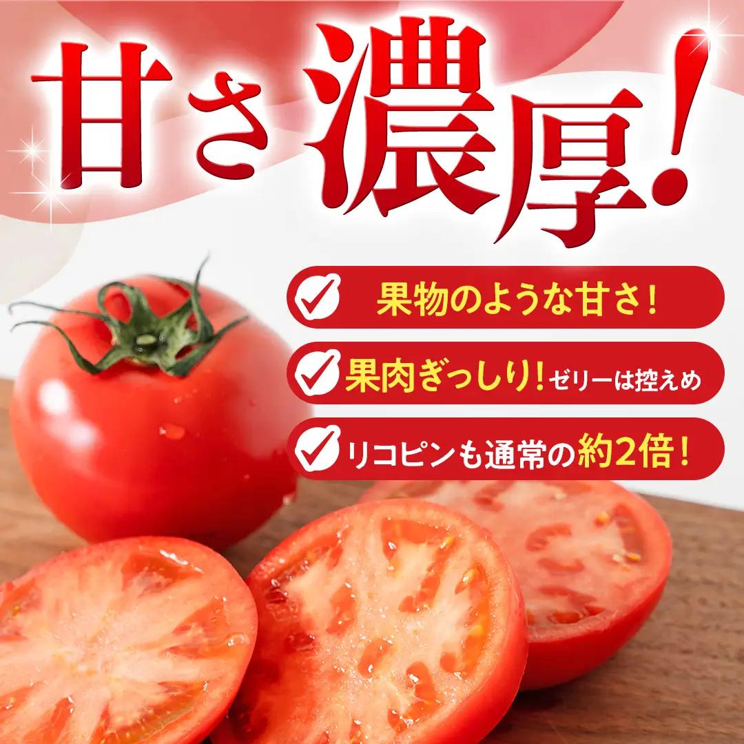 《 2027年 収穫分 》3～4月配送 スーパーフルーツトマト てるて姫 中箱 約1.2kg × 1箱 【12〜15玉/1箱】 糖度9度以上 定期便 先行予約 フルーツトマト ブランドトマト 野菜 ギ