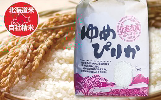 F-65013 ゆめぴりか5kg×2袋