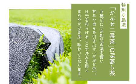 ホッとするね いつもの お茶 1kg（100g×10本）KN162-002-04 茶 日本茶 緑茶 飲料 日本茶AWARD2022 ファインプロダクト賞 受賞 かぶせ二番茶 深蒸し茶 鹿児島県産 清紹