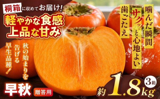 【贈答用・桐箱】 早秋 柿 ( 6個 / 1.8kg ) 3箱 先行予約 令和8年10月中旬順次発送 |【知る人ぞ知る希少柿】 軽やかな歯ごたえと上品な甘み フルーツ 果物 完熟 国産 贈答用 贈り物 桐箱 ギフト プレゼント お歳暮 季節の果物 高級 岐阜県 北方町