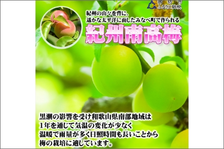 【0920-3】みかんこい梅　100ｇ×5個