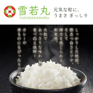 山形産無洗米キューブつや姫・雪若丸詰合せ300ｇ×40 FY18-780