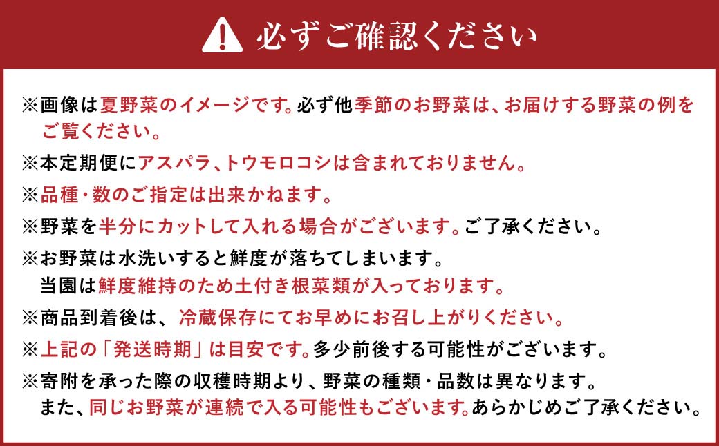 【有機JAS認定】【9ヶ月定期便】 季節の野菜詰め合わせ ～有機野菜セットA～