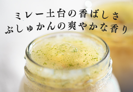 TOSAフロマージュ 瓶入りNYチーズケーキ 4個 ミレービスケット ぶしゅかん 柑橘 チーズ 銘菓