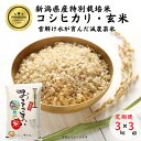 【ふるさと納税】米 コシヒカリ【令和6年産 新米】【玄米】3kg(1袋)×3回毎月 計9kg 特別栽培米 「おててこまい」100%根知産 減農薬 専門家お墨付き 令和6年産 産地直送 糸魚川 新潟県産コシヒカリ3kg 小田島建設 美味しい 農家自慢 お米 おにぎり 玄米 米