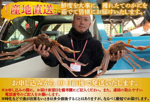 【産地直送】福井冬の味覚！越前がに 1杯 1.2～1.3kg 【2023年度】