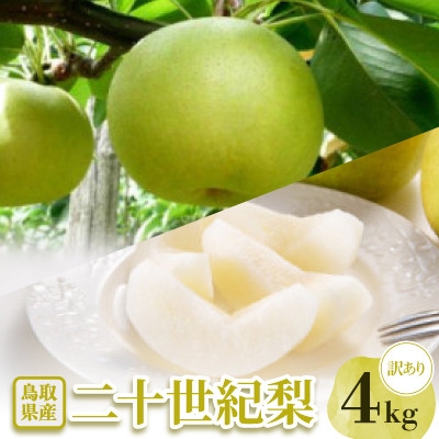 
                  ＜訳あり＞二十世紀梨　4kg【1733709】
                