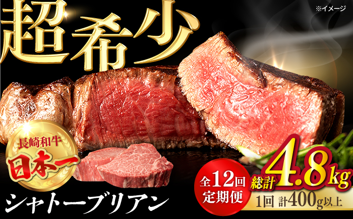 
            【全12回定期便】極上 シャトーブリアン 長崎和牛 出島ばらいろ 毎月計400g以上（約200g×2枚）【肉のマルシン】 ステーキ ヒレ ヒレステーキ ヒレ肉 フィレ [FG47]
          