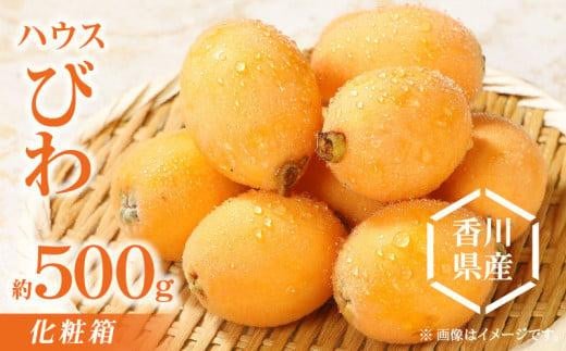 ハウスびわ化粧箱 約500g【2025-3月中旬～2025-5月上旬配送】