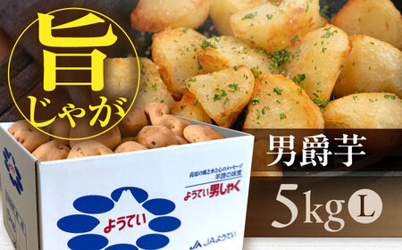 【9月下旬以降順次発送】男爵芋 5kg じゃがいも [AJAK027]
